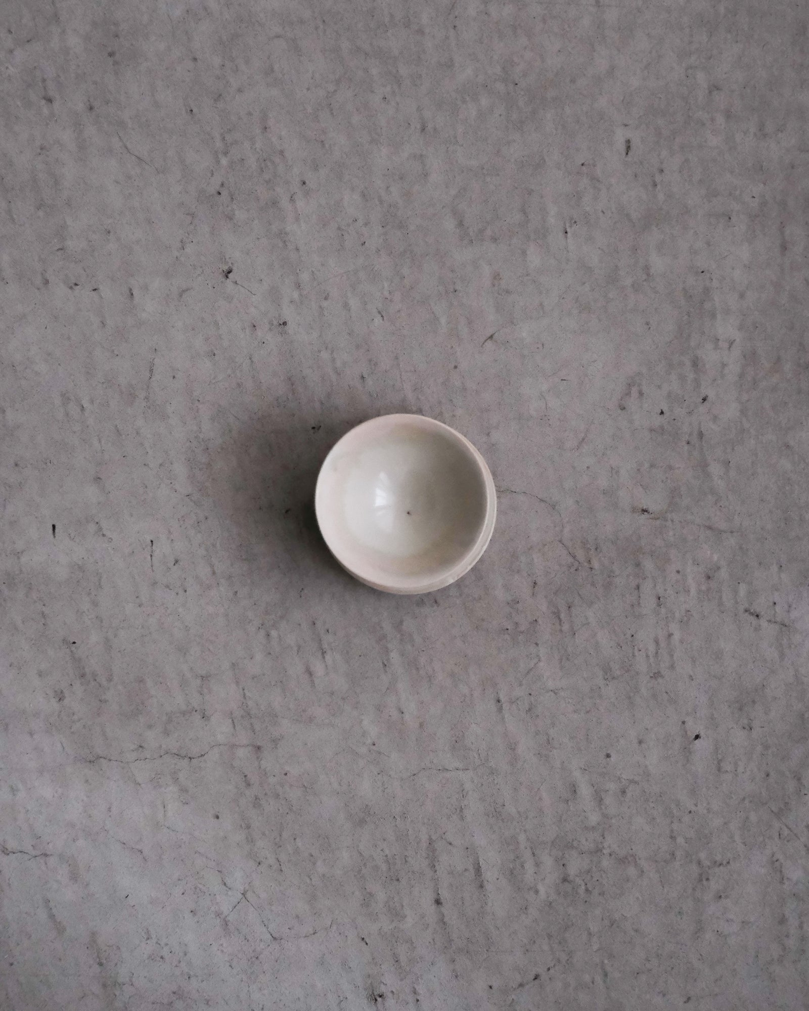 茶杯｜中園晋作