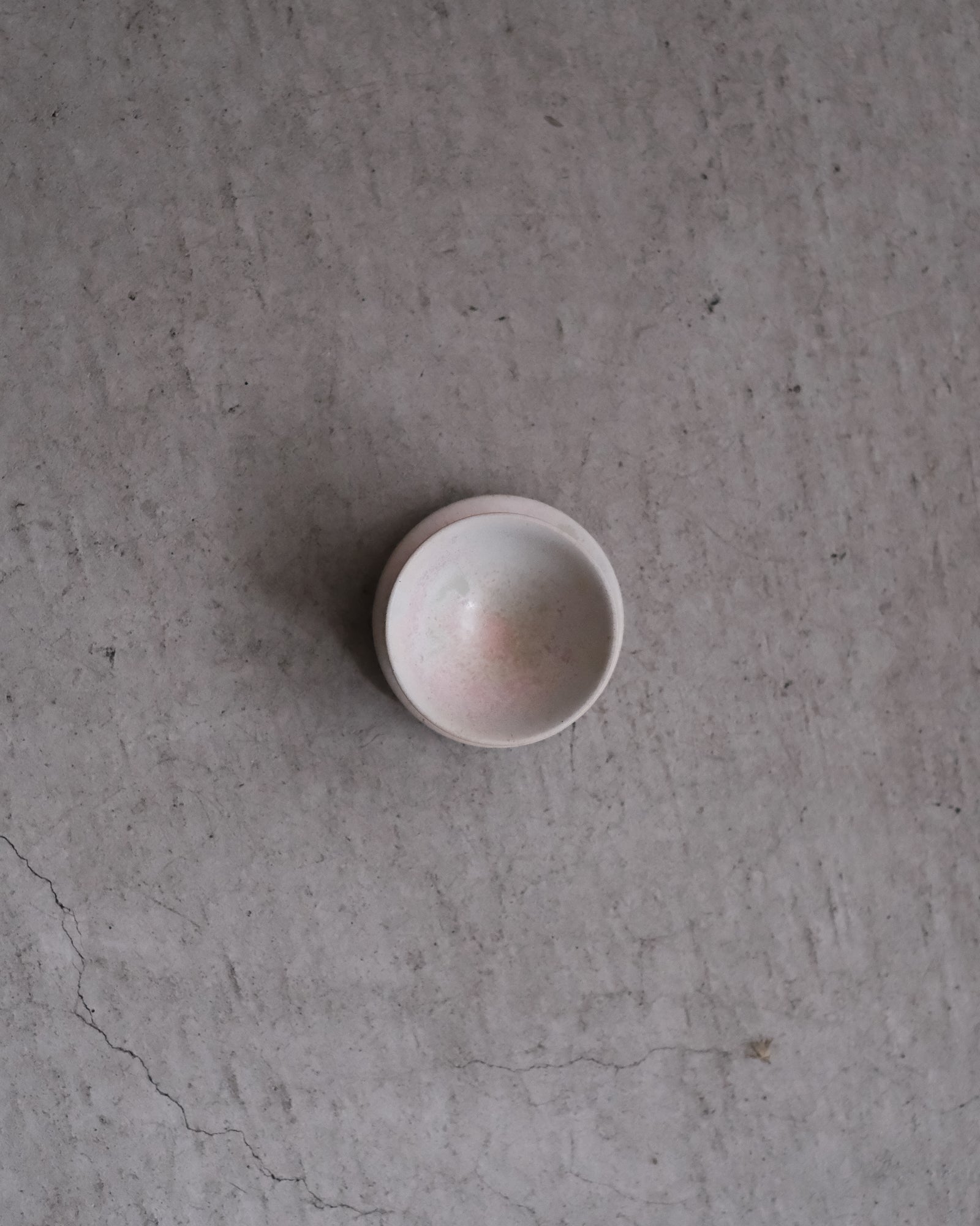 茶杯｜中園晋作